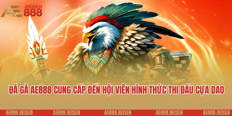 Đá gà AE888: Sảnh chơi đá gà Campuchia uy tín kịch tính 3 Đá gà AE888 cung cấp đến hội viên hình thức thi đấu cựa dao