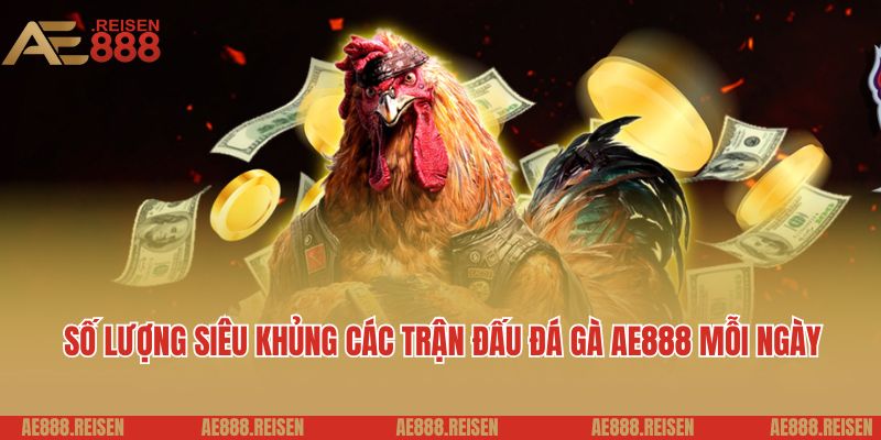 Đá gà AE888: Sảnh chơi đá gà Campuchia uy tín kịch tính 6 Số lượng siêu khủng các trận đấu đá gà AE888 mỗi ngày