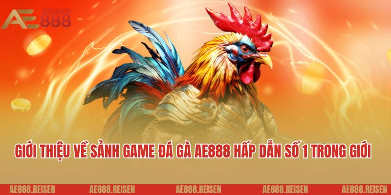 Đá gà AE888: Sảnh chơi đá gà Campuchia uy tín kịch tính 2 Giới thiệu về sảnh game đá gà AE888 hấp dẫn số 1 trong giới